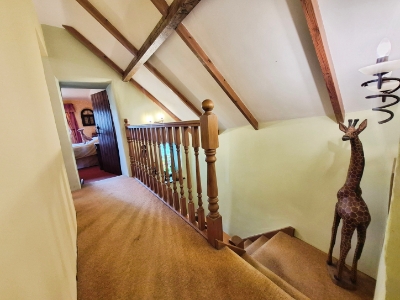 Picture 17